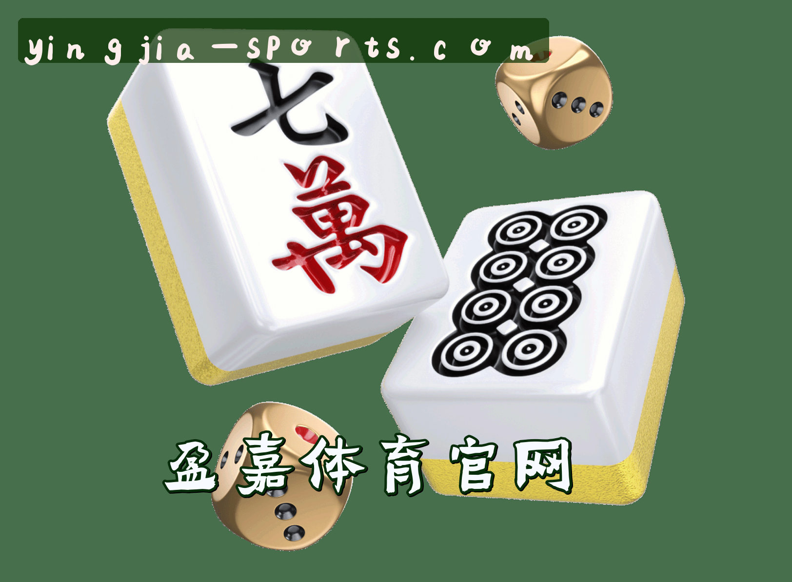 关于我们关于我们信息
